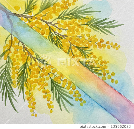 Mimosa Series: Prisms and refractions of rainbow-colored light on the branches of a mimosa 135962083