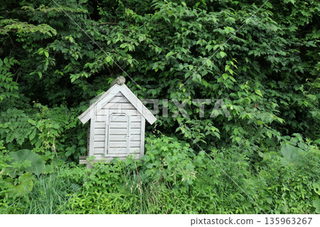 A Stevenson screen like a fairy house 135963267