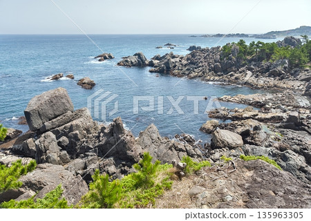 The panoramic view of the Pacific Ocean and the strangely shaped rock formations of Tanesashi Coast, symbolizing the dynamic coastal beauty of Sanriku Fukko National Park 135963305