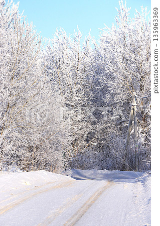 Fabulous beautiful trees in a thick layer of frost and snow during a severe frost along the road.Winter landscape in central Russia.Beautiful winter invitation card for tourists. Fabulous beautiful trees in a thick layer of frost and snow during a severe frost along the road.Winter landscape in central Russia.Beautiful winter invitation card for tourists. 135963369