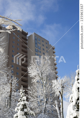 A multi-story building against a blue sky with snow-covered tree branches. A multi-story building against a blue sky with snow-covered tree branches. 135963387