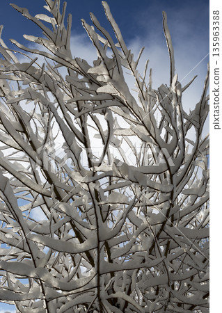 Snow-covered tree branches against a blue sky Snow-covered tree branches against a blue sky 135963388