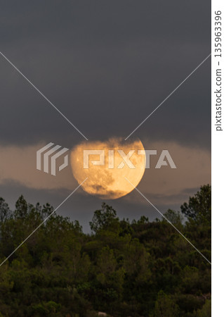 Full moon among clouds, over a mountain with pine trees. Full moon among clouds, over a mountain with pine trees. 135963396