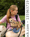 young woman professional dog walker is sitting on green grass with small toy terrier dog. 135963719