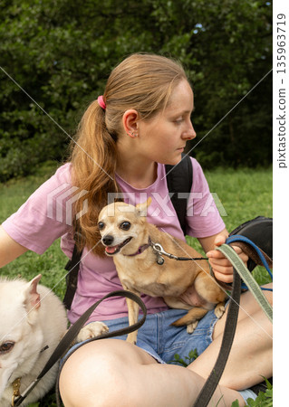 young woman professional dog walker is sitting on green grass with small toy terrier dog. 135963719