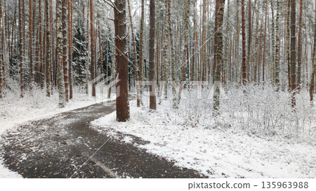 A snowy forest with a road in the middle A snowy forest with a road in the middle 135963988