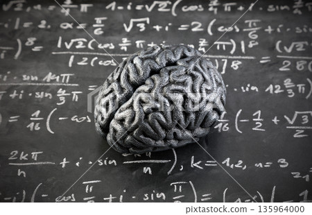 Human brain model with mathematical equations on scholl chalkboard. Science, education and learning concept. 135964000