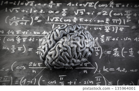 Human brain model with mathematical equations on scholl chalkboard. Science, education and learning concept. Human brain model with mathematical equations on scholl chalkboard. Science, education and learning concept. 135964001