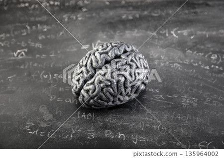 Human brain model with mathematical equations on old dirty dust worn school chalkboard. Science, memory loss disorder and cognitive decline concept. 135964002
