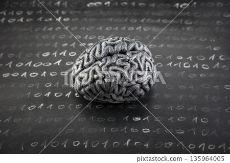 Human brain model and binary code drawn with chalk on worn scholl blackboard. Science, learning or data loss concept. Human brain model and binary code drawn with chalk on worn scholl blackboard. Science, learning or data loss concept. 135964005