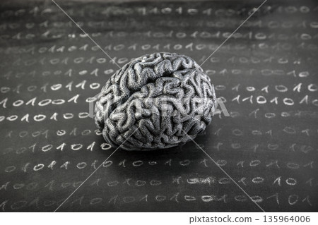 Human brain model and binary code drawn with chalk on worn scholl blackboard. Science, learning or data loss concept. 135964006