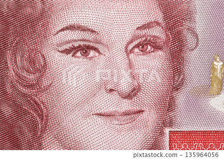 Birgit Nilsson a closeup portrait from Swedish money 135964056