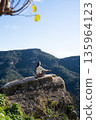 woman meditating on cliff overlooking mountains, practicing sunrise mindfulness during solo nature retreat, serene sunlight, panoramic 135964123