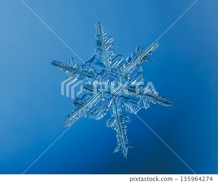 Natural snowflake crystal in blue background Natural snowflake crystal in blue background 135964274