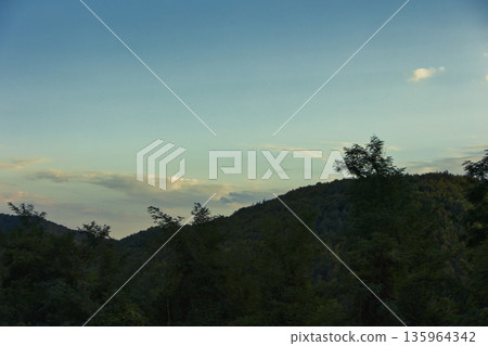 Dense green forest covering a mountain hillside, photographed from the road in August 2025, with layered trees, summer foliage, and a clear blue sky. Dense green forest covering a mountain hillside, photographed from the road in August 2025, with layered trees, summer foliage, and a clear blue sky. 135964342