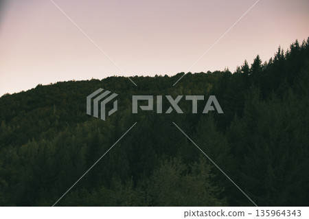 Dense green forest covering a mountain hillside, photographed from the road in August 2025, with layered trees, summer foliage, and a clear blue sky. Dense green forest covering a mountain hillside, photographed from the road in August 2025, with layered trees, summer foliage, and a clear blue sky. 135964343