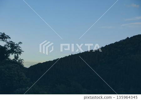 Dense green forest covering a mountain hillside, photographed from the road in August 2025, with layered trees, summer foliage, and a clear blue sky. 135964345
