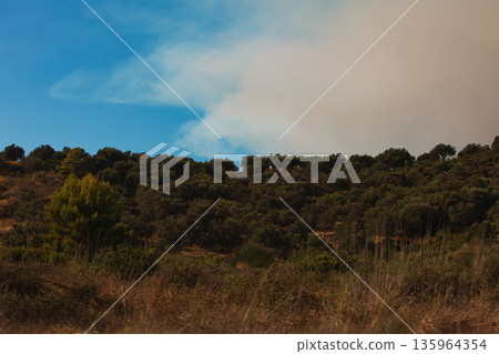 Dense green forest covering a mountain hillside, photographed from the road in August 2025, with layered trees, summer foliage, and a clear blue sky. Dense green forest covering a mountain hillside, photographed from the road in August 2025, with layered trees, summer foliage, and a clear blue sky. 135964354