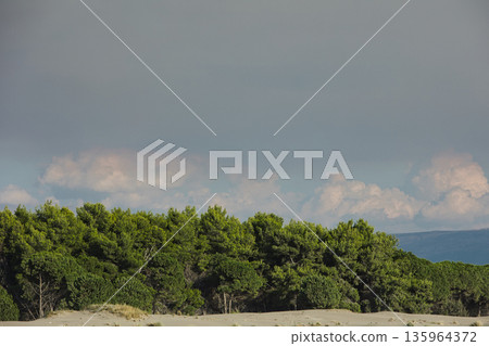 Dense green forest covering a mountain hillside, photographed from the road in August 2025, with layered trees, summer foliage, and a clear blue sky. 135964372
