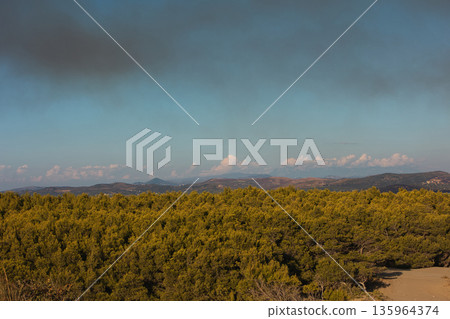 Dense green forest covering a mountain hillside, photographed from the road in August 2025, with layered trees, summer foliage, and a clear blue sky. Dense green forest covering a mountain hillside, photographed from the road in August 2025, with layered trees, summer foliage, and a clear blue sky. 135964374