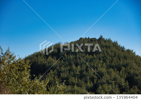 Dense green forest covering a mountain hillside, photographed from the road in August 2025, with layered trees, summer foliage, and a clear blue sky. 135964404
