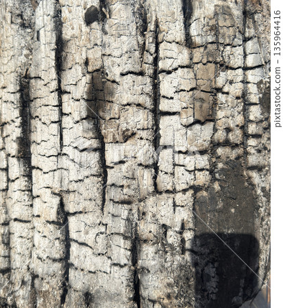 Stump embers ash texture Stump embers ash texture 135964416