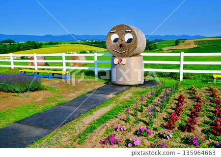 Shinei Hill（北海道美瑛市） 135964663