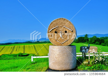 Shinei Hill(北海道美瑛市) Shinei Hill(北海道美瑛市) 135964664