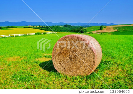 草卷蔓延的風景 草卷蔓延的風景 135964665