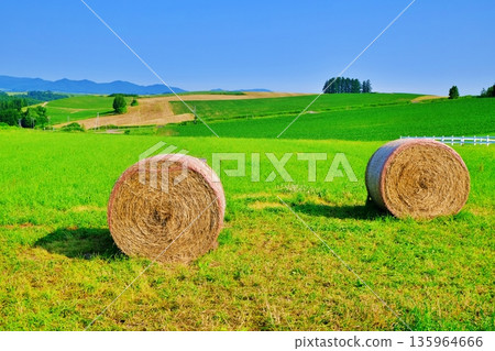 與草卷的風景 135964666