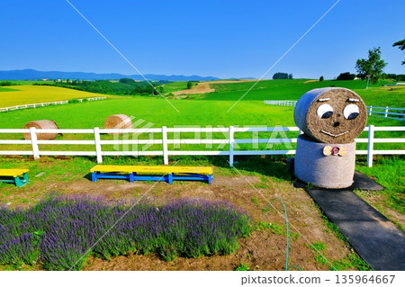 Shinei Hill（北海道美瑛市） 135964667