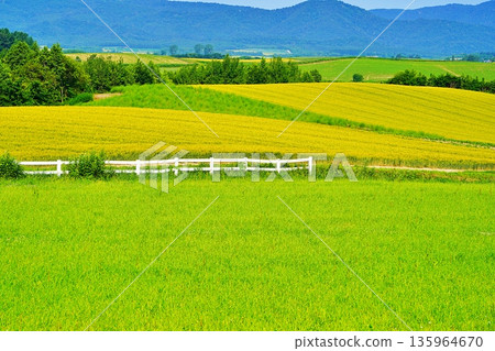 田園景觀 田園景觀 135964670