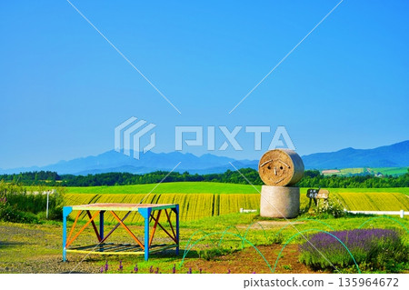 Shinei Hill (Biei, Hokkaido) Shinei Hill (Biei, Hokkaido) 135964672