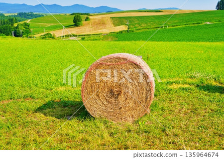 與草卷的風景 與草卷的風景 135964674