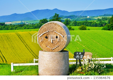 Shinei Hill(北海道美瑛市) Shinei Hill(北海道美瑛市) 135964676
