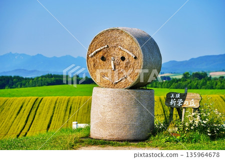 Shinei Hill(北海道美瑛市) Shinei Hill(北海道美瑛市) 135964678