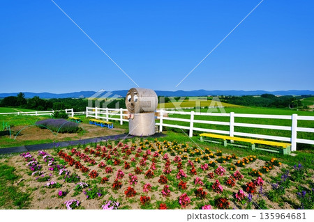 Shinei Hill (Biei, Hokkaido) Shinei Hill (Biei, Hokkaido) 135964681
