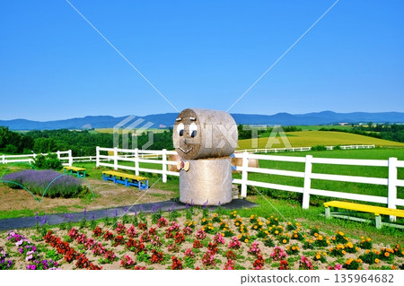 Shinei Hill (Biei, Hokkaido) 135964682