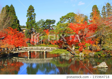 秋天的永觀道(京都市) 秋天的永觀道(京都市) 135964718