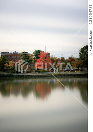秋葉倒映在海聖山公園的五十鈴湖中 秋葉倒映在海聖山公園的五十鈴湖中 135964781