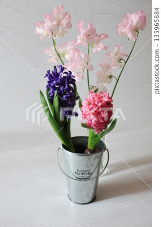 Pink and purple hyacinths 135965884
