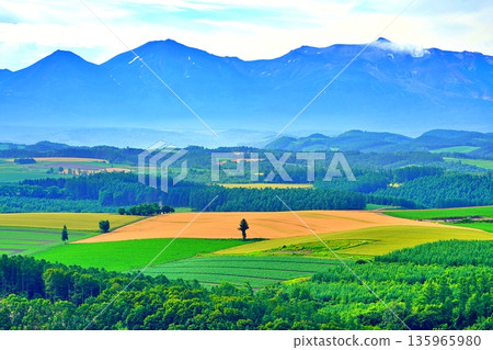 北海道上富良野山丘的壯麗景色 北海道上富良野山丘的壯麗景色 135965980
