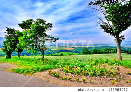 Scenery of Shujitsu Hill Scenery of Shujitsu Hill 135965982