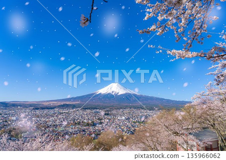 【櫻花雪暴素材】從荒倉山淺間公園看到的富士山、櫻花和櫻花雪暴【山梨縣】 【櫻花雪暴素材】從荒倉山淺間公園看到的富士山、櫻花和櫻花雪暴【山梨縣】 135966062