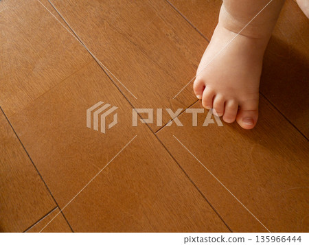 Baby's tiny feet standing on a wooden floor Baby's tiny feet standing on a wooden floor 135966444