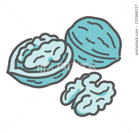 核桃插圖（富含omega-3脂肪酸/健康脂肪/堅果） 135966517