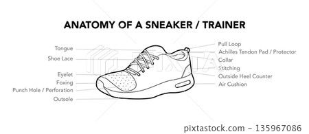 Sneaker trainer anatomy diagram single line. Tongue, lace, eyelet and collar construction for learning, professional 135967086