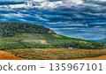 Rolling Vineyards and Autumn Fields under Dramatic Sky 135967101
