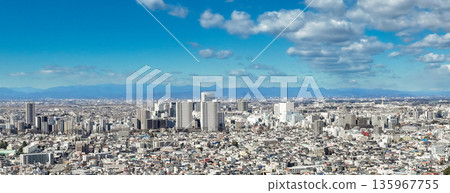 從美沼稻田拍攝的埼玉縣大宮方向無人機空拍照片 135967755