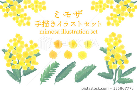 含羞草水彩手繪插畫套裝 含羞草水彩手繪插畫套裝 135967773